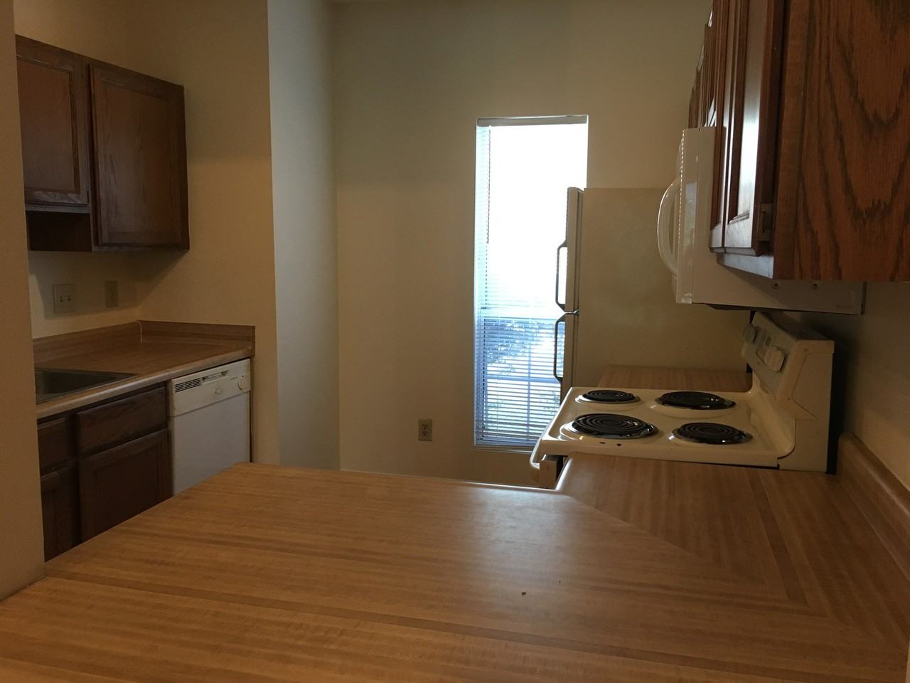 6102 Bushmills St - Photo 3 of 16