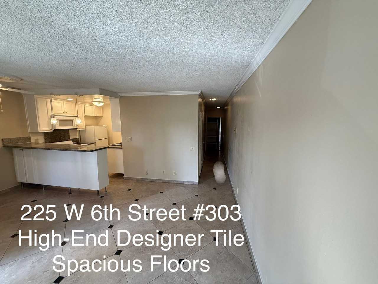 225 W 6th St #303 - Photo 4 of 16