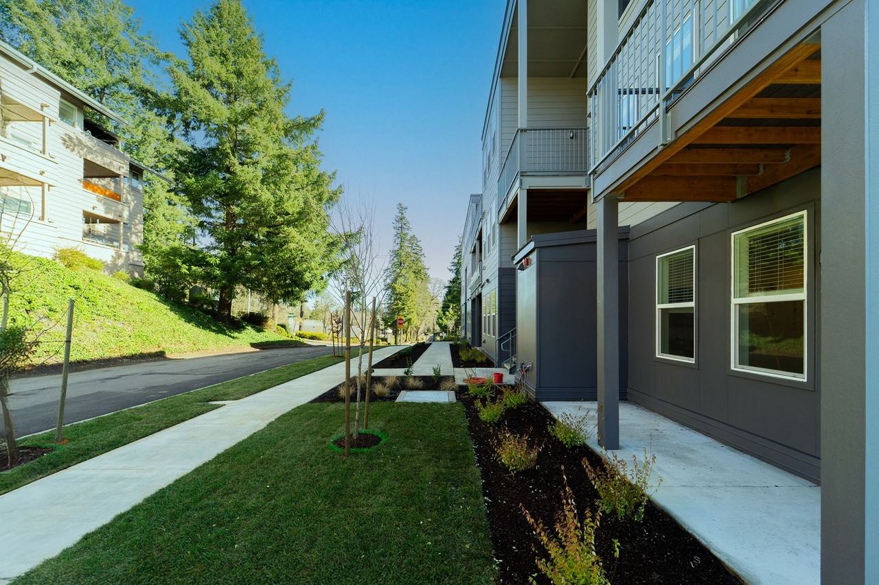 Lava - Photo 3 of 47