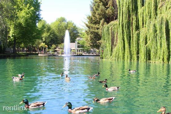 Garden Hwy & Gateway Oaks Dr - Photo 2 of 8