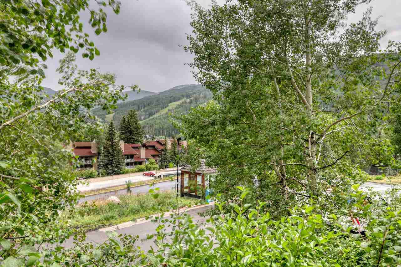 1063 Vail View Dr #1 - Photo 6 of 19