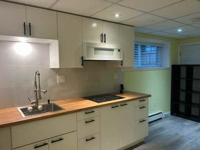 173 St & 100 Ave - Photo 3 of 8