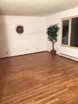 Queen Anne - Photo 1 of 1