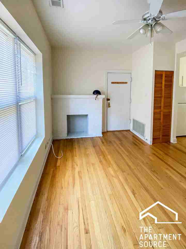 857 W Cornelia Ave #1N - Photo 4 of 13