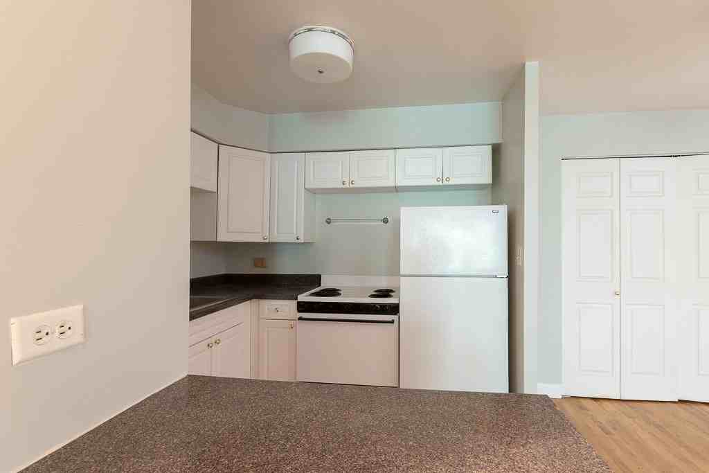1446 N Dearborn St #4F - Photo 4 of 20