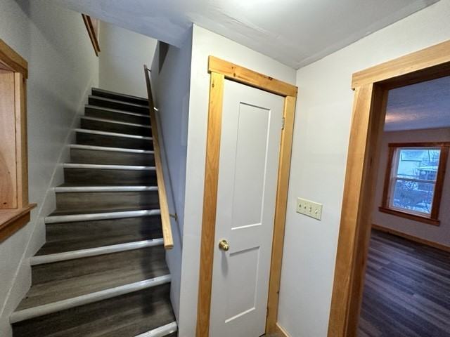 981 Callbeck Street #1 - Photo 6 of 17