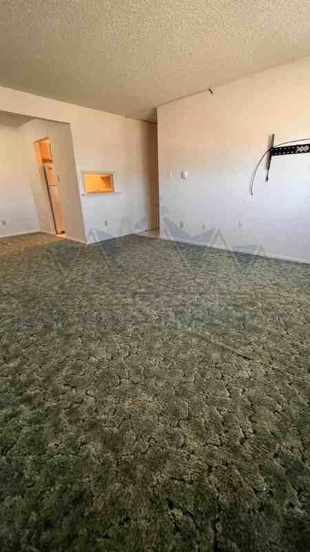 2310 E Garfield St #C10 - Photo 7 of 12