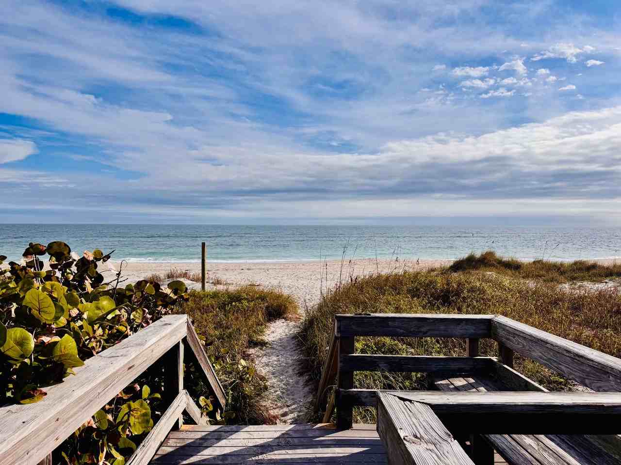 The Wave Beachfront Apartments - Photo 2 of 14