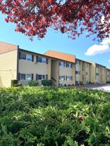 r45a Laurel Court Apts. - Photo 1 of 1