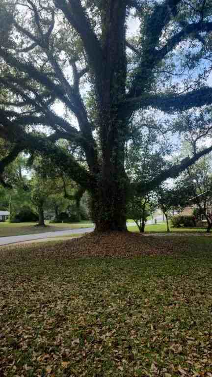 2766 Brookwood Dr - Photo 2 of 20