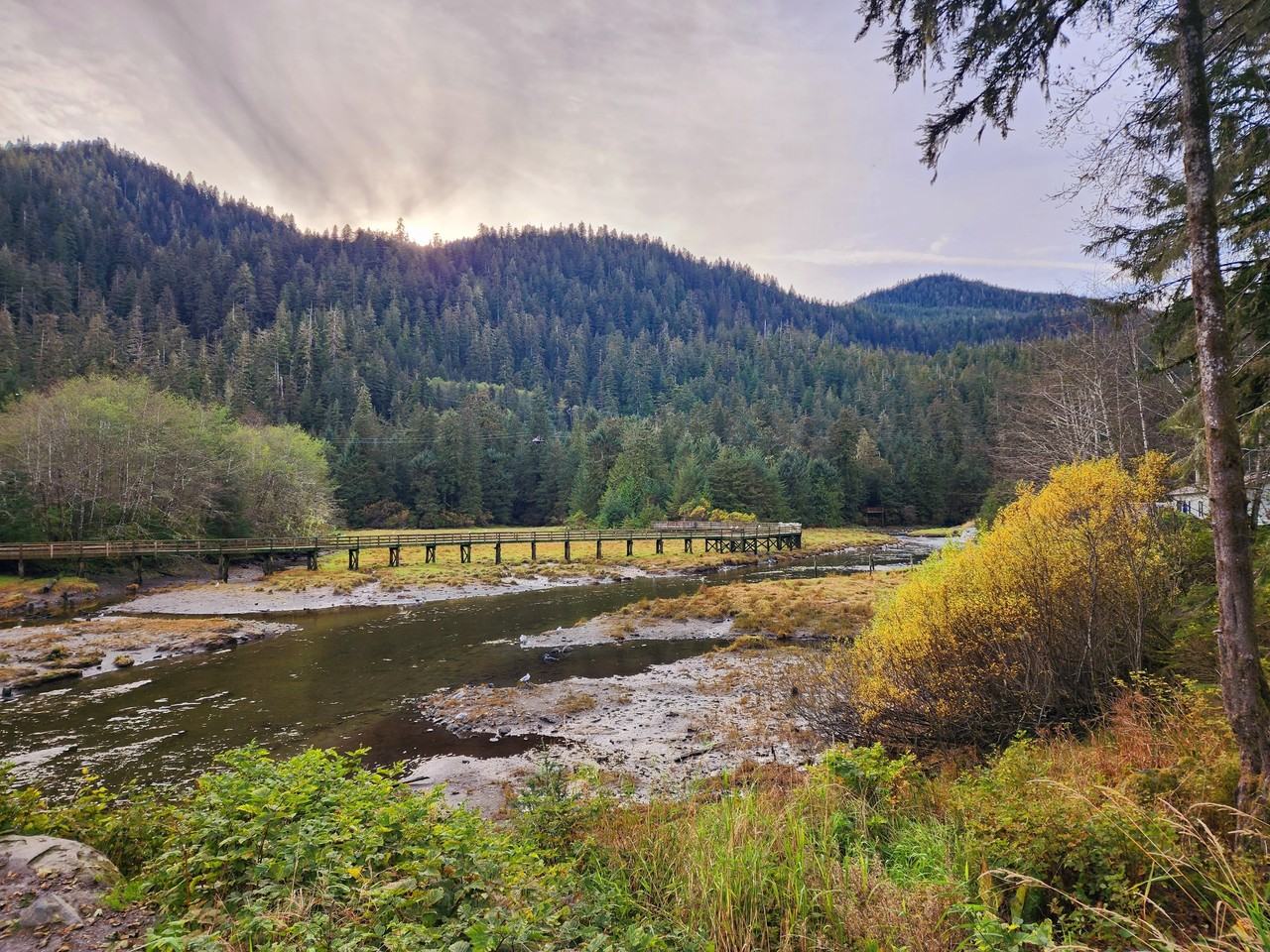 122 Bear Cove #14043979 - Photo 7 of 32