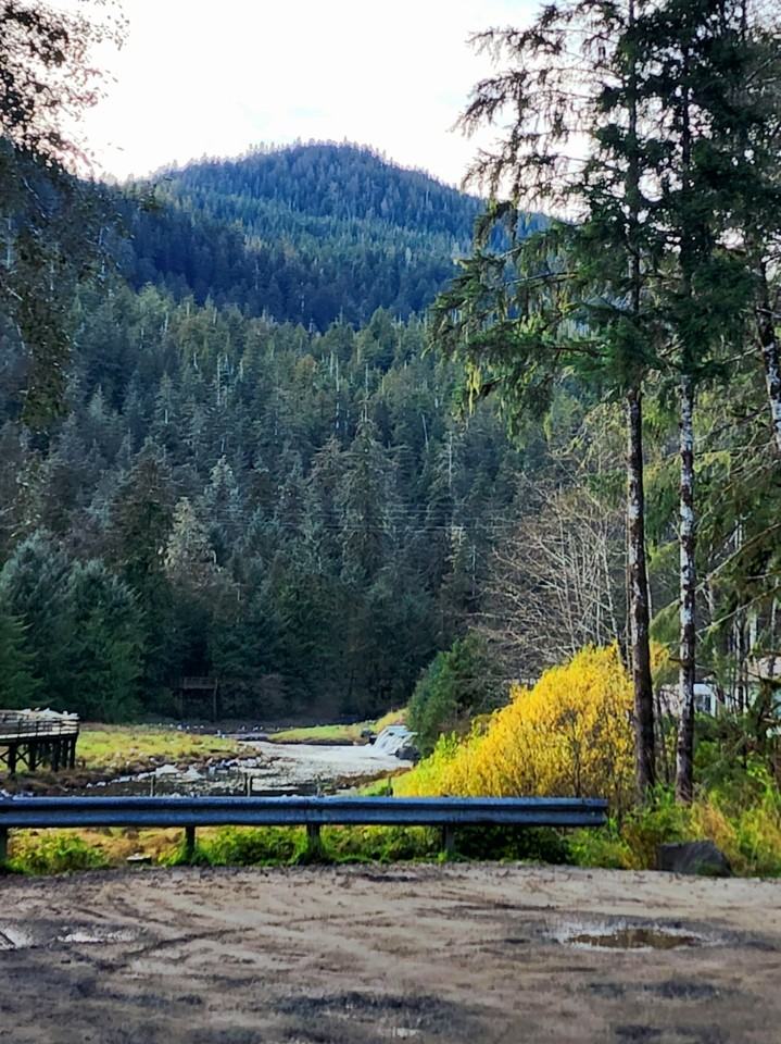 122 Bear Cove #14043979 - Photo 2 of 32