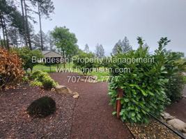 featured image of 2811 Bardy Rd