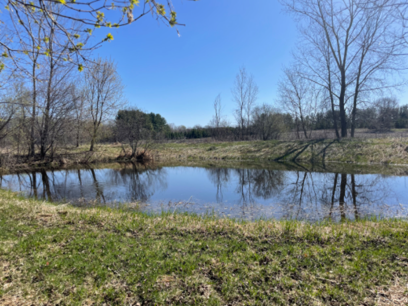 17641 Partridge St Nw - Photo 2 of 8