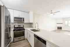 Indie Collection - Photo 1 of 1