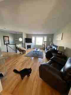 253 Charles Rd #1 - Photo 5 of 23