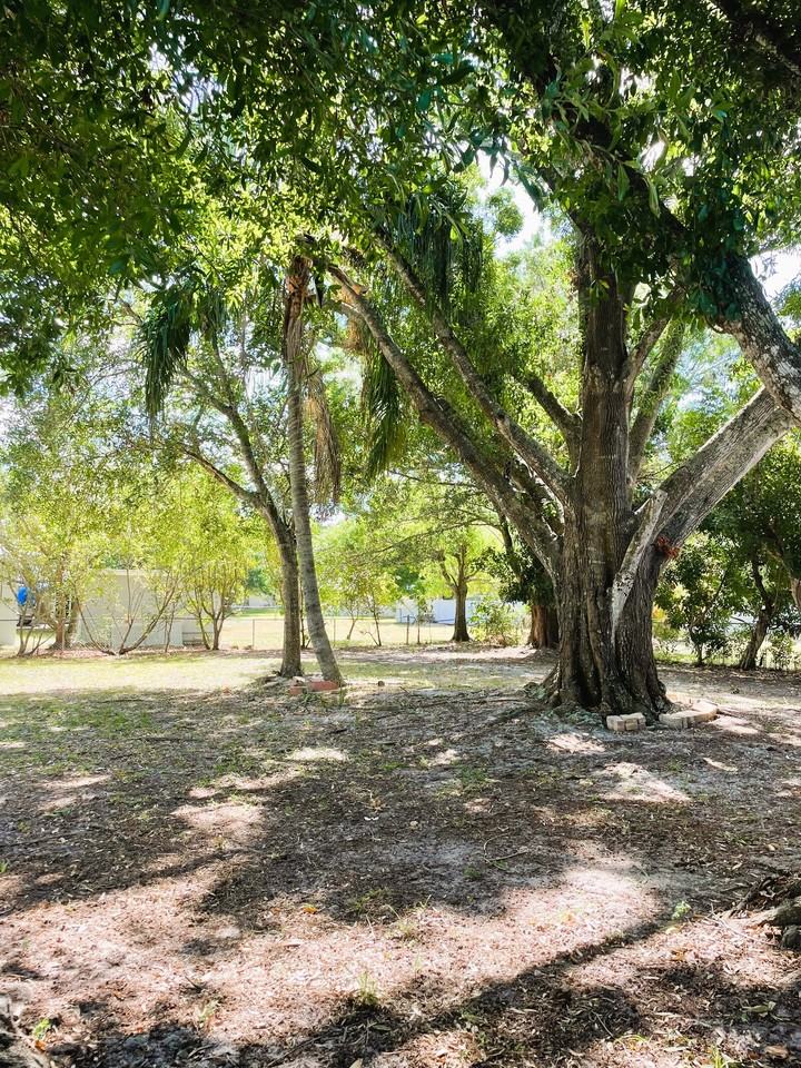 7365 Coon Road - Photo 2 of 12