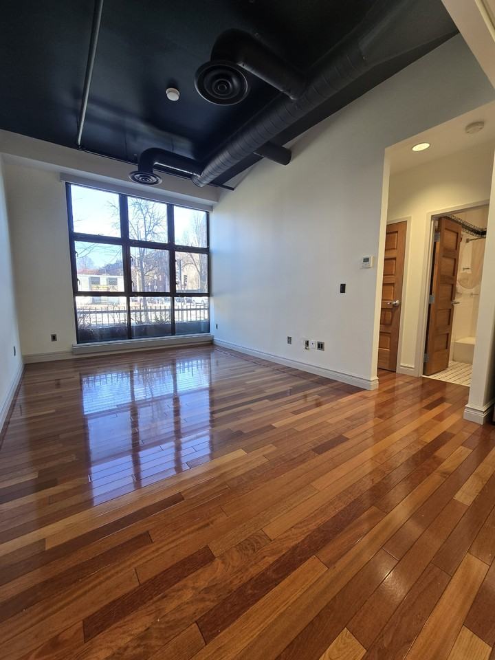 715 Tremont Street - Photo 3 of 8