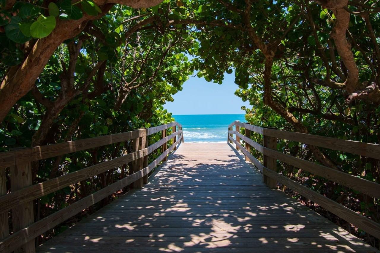 650 Island Club Ct #1044347P - Photo 3 of 30