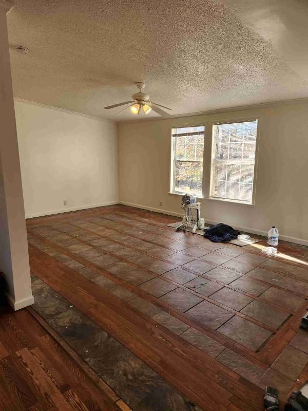 10206 High Rock Rd - Photo 3 of 17