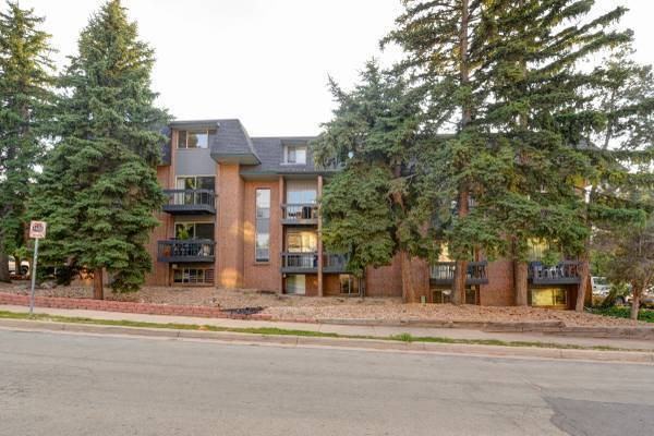 1065 University  #217 - Photo 7 of 11