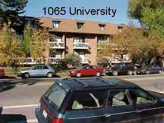 1065 University  #217 - Photo 6 of 29