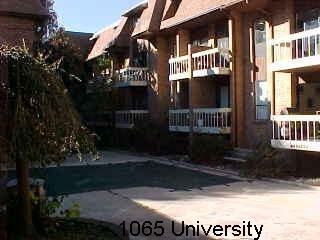 1065 University  #217 - Photo 7 of 29