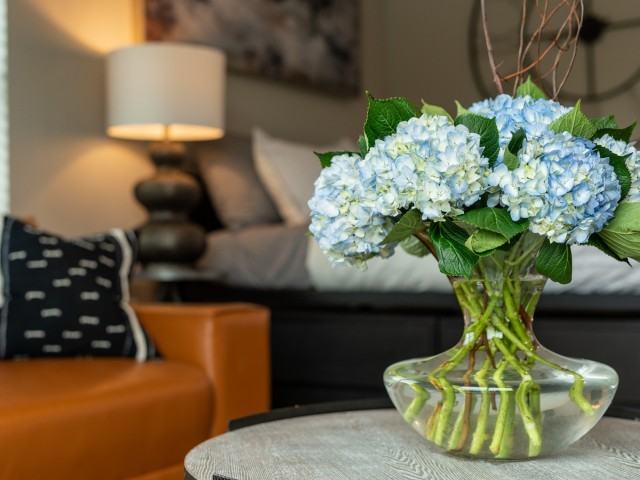 Galloway Creek - Photo 2 of 50