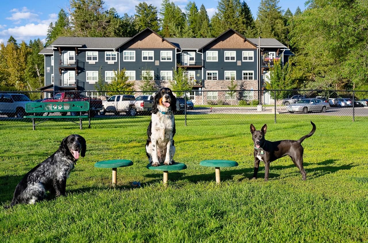 The Highline Apartments - Photo 5 of 33