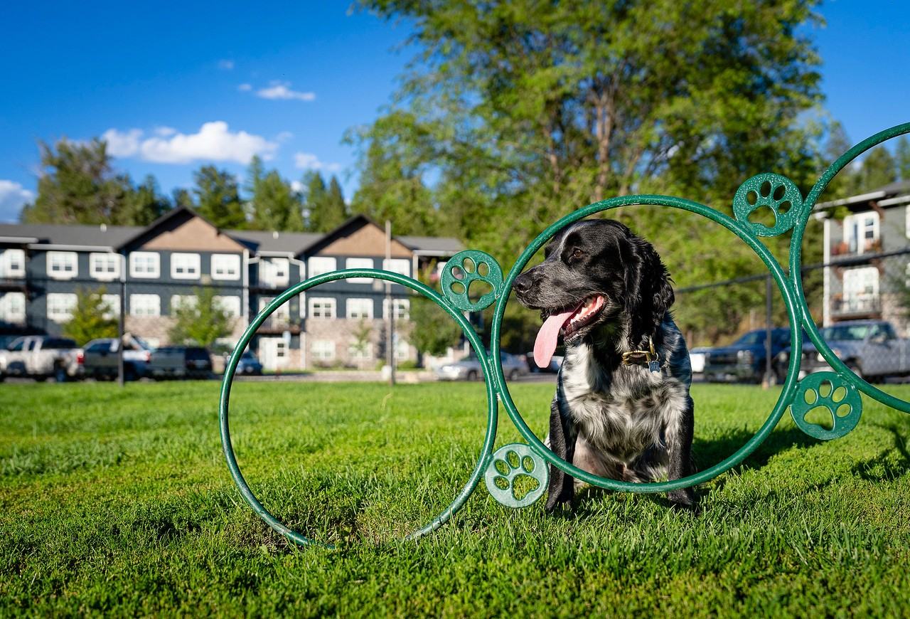 The Highline Apartments - Photo 6 of 33