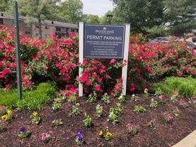 Woods Edge Apartments - Photo 1 of 1