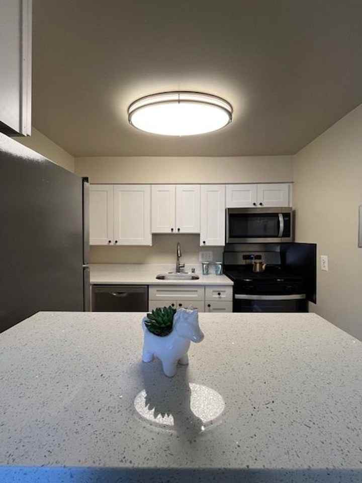 14002 Cove Ln., - Photo 7 of 46