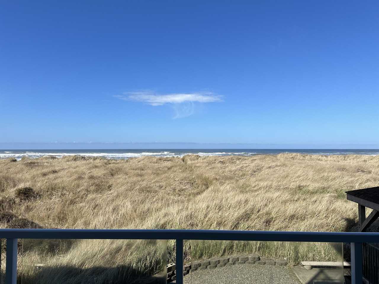 1307 Ocean Shores Blvd Sw #N21 - Photo 6 of 10