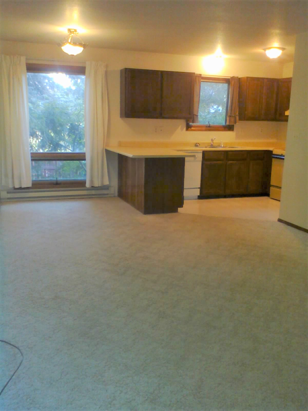 1212 S 5th Ave - Photo 4 of 7