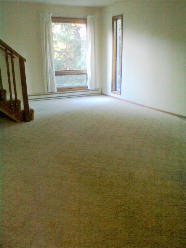 1212 S 5th Ave - Photo 5 of 7