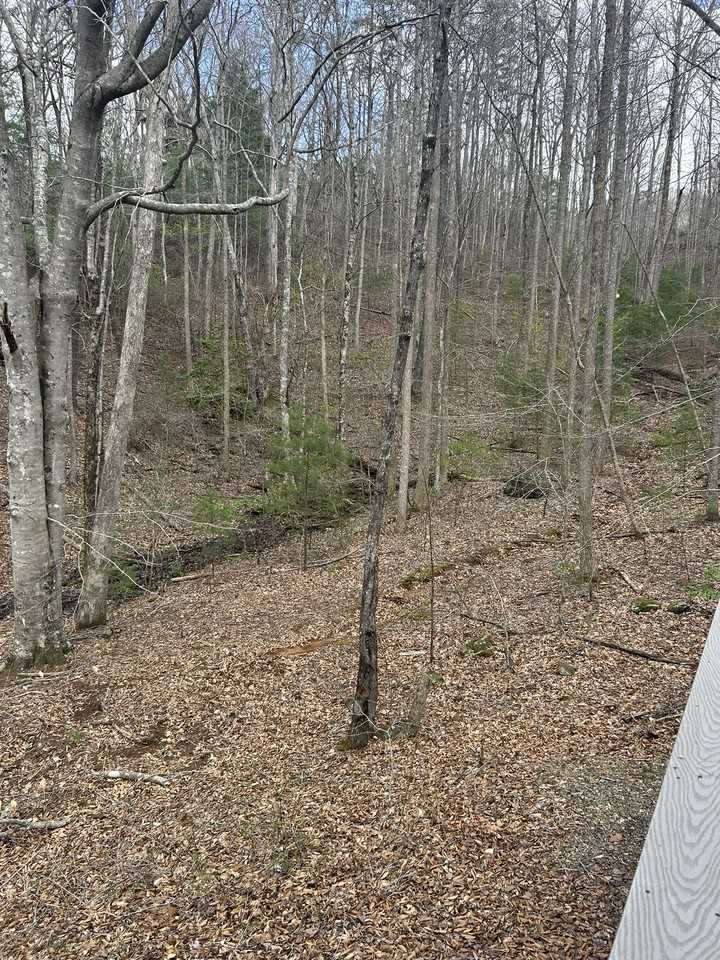 402 Wahu Hu Drive - Photo 2 of 11