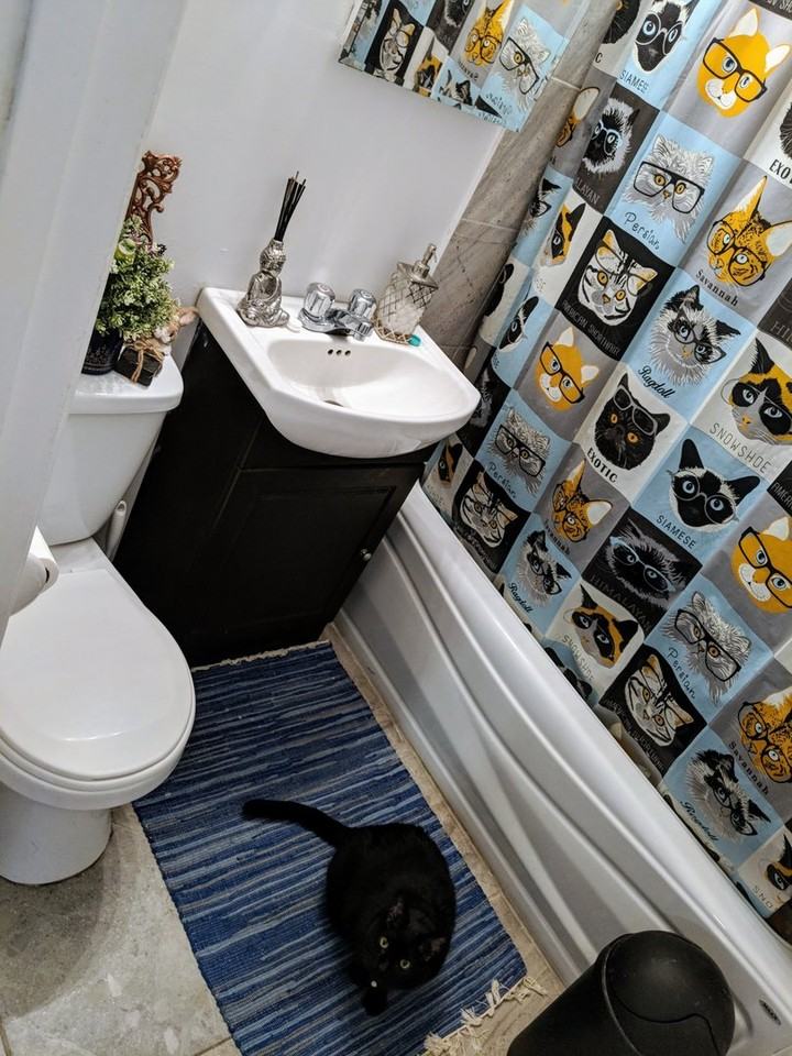 4935 Ch Queen-Mary - Photo 3 of 3