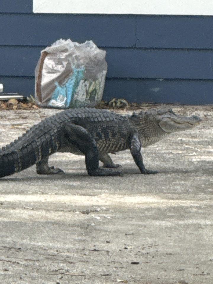 September Drive - Photo 2 of 17