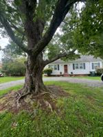 featured image of 400 4th St