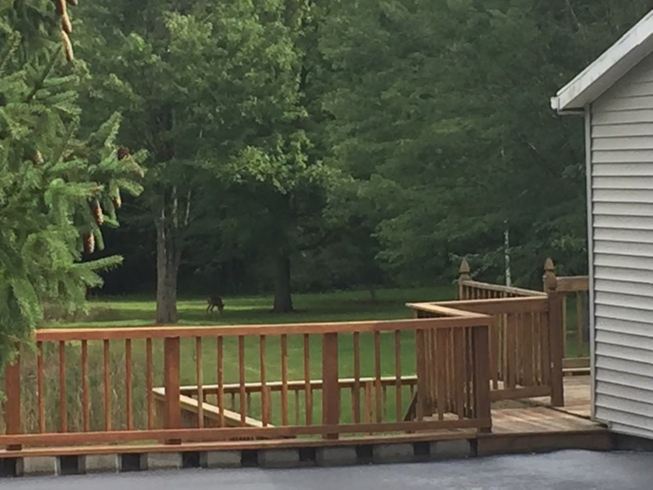 1212 Johnson Rd #NA - Photo 6 of 27