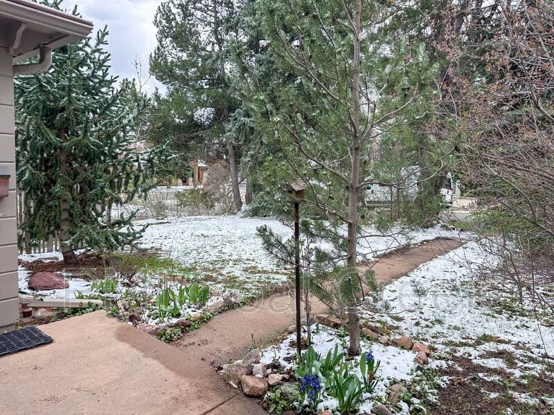 1729 Mariposa Ave - Photo 2 of 24