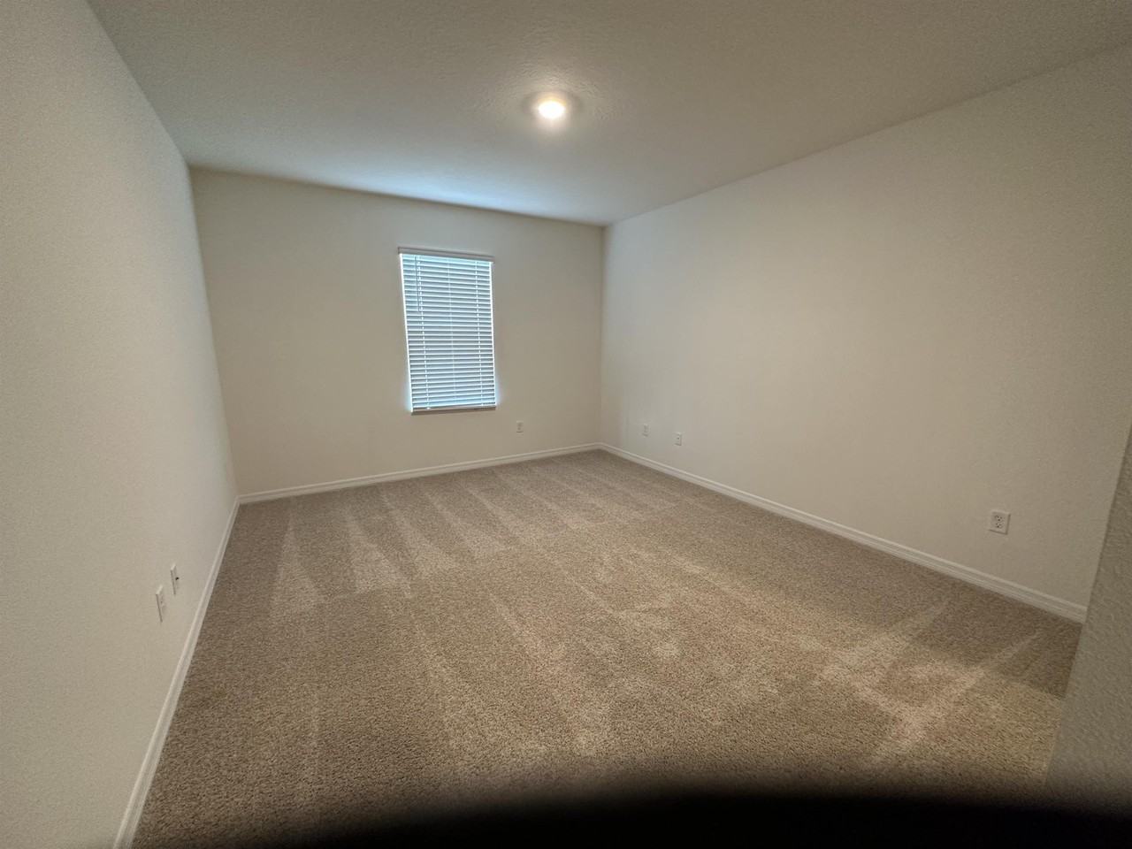 1204 Draintree St #1 - Photo 7 of 26