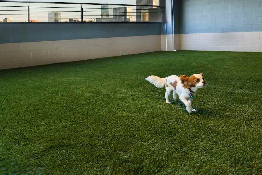 2928 Weslayan St - Photo 4 of 50