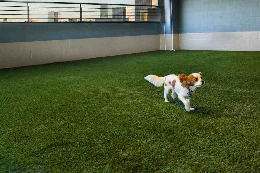 2928 Weslayan St - Photo 4 of 50