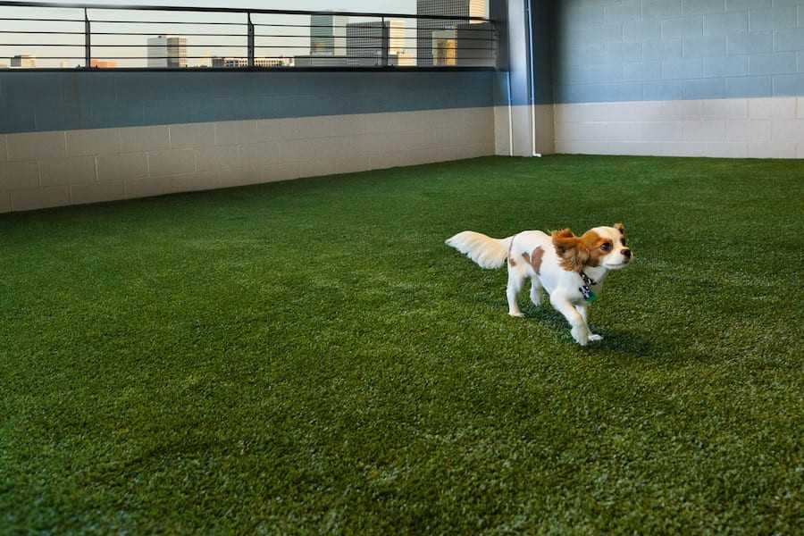 2928 Weslayan St - Photo 3 of 50