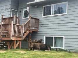 featured image of 3782 W 84th Ave #1