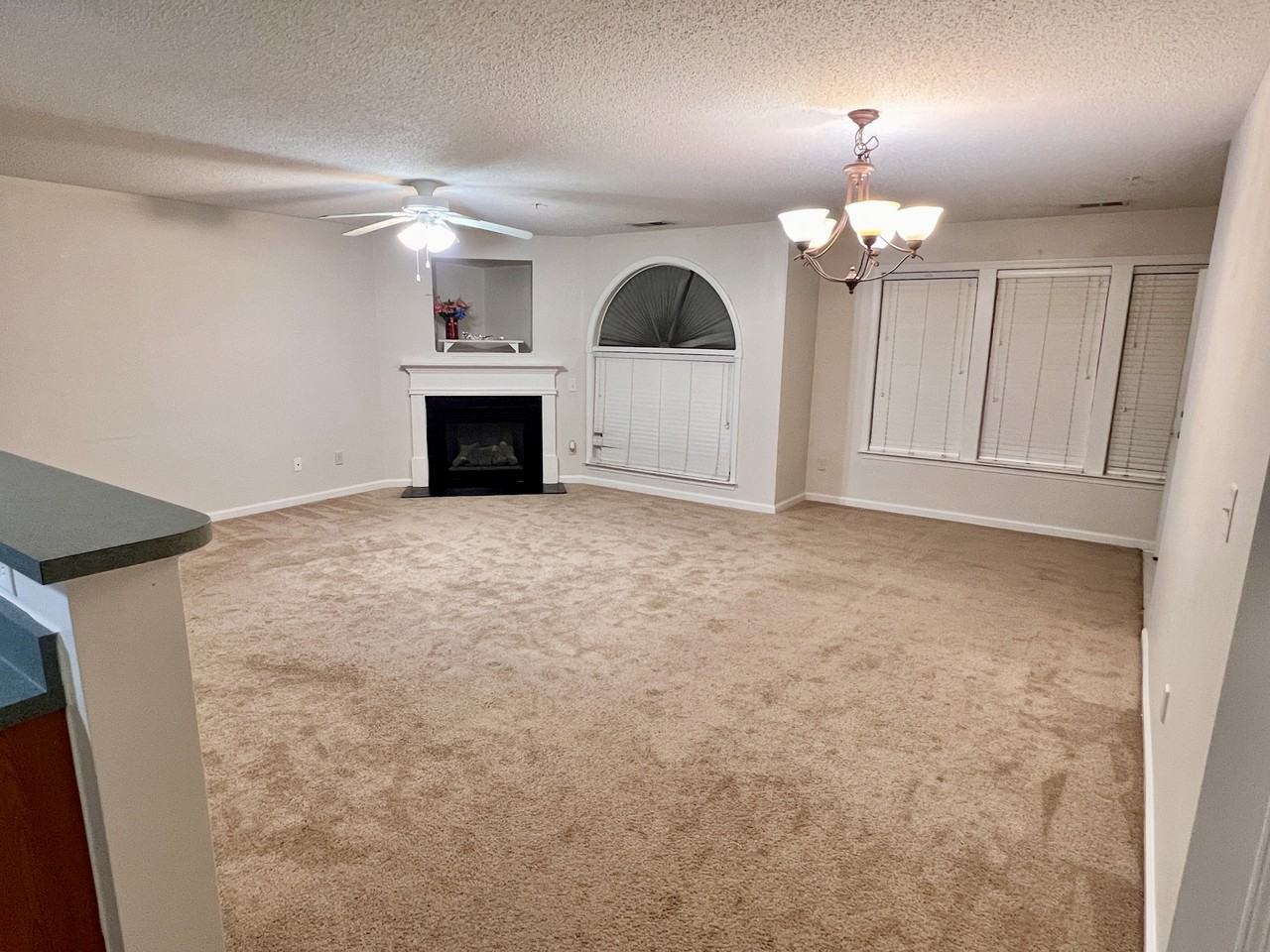 6117 Hedgecock Cir #1A - Photo 2 of 11