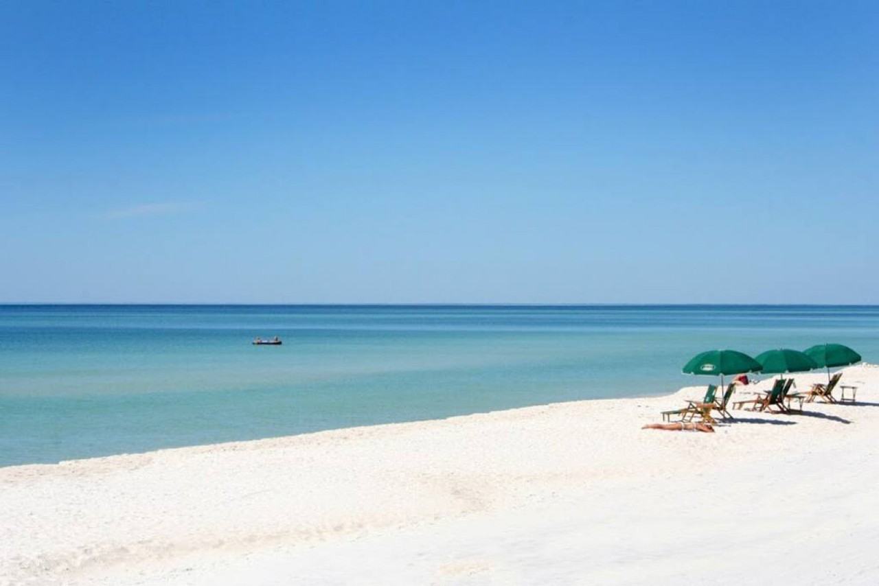 304 La Paloma Pl #1049725P - Photo 3 of 20