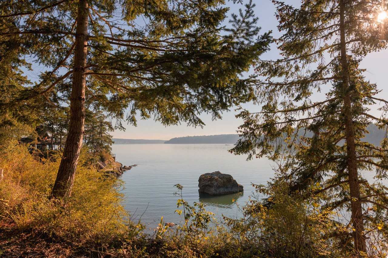 9385 Reef Point Ln #1055967P - Photo 4 of 24