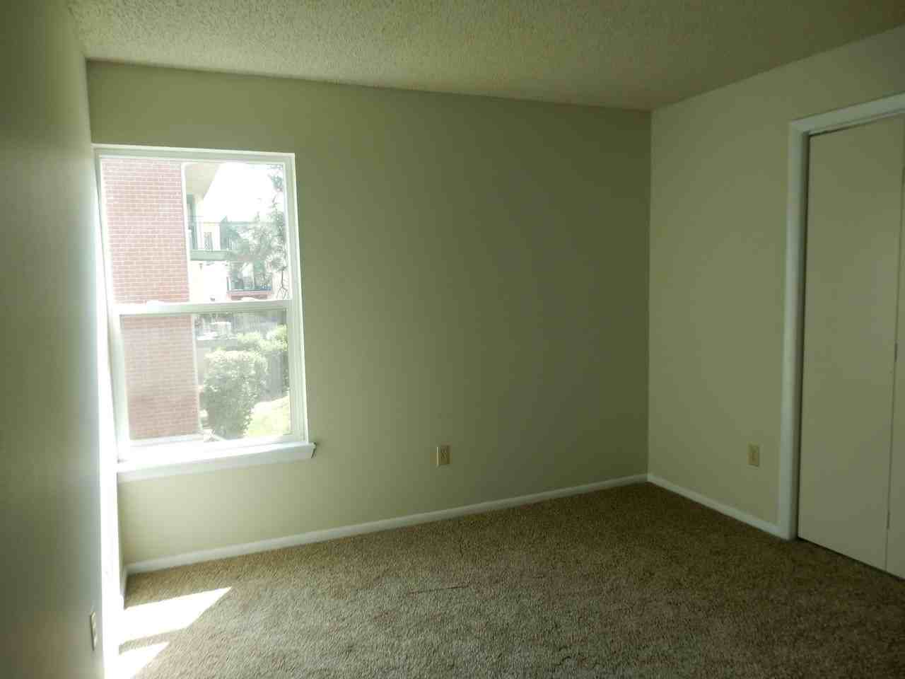 12168 Melody Dr #204 - Photo 6 of 14